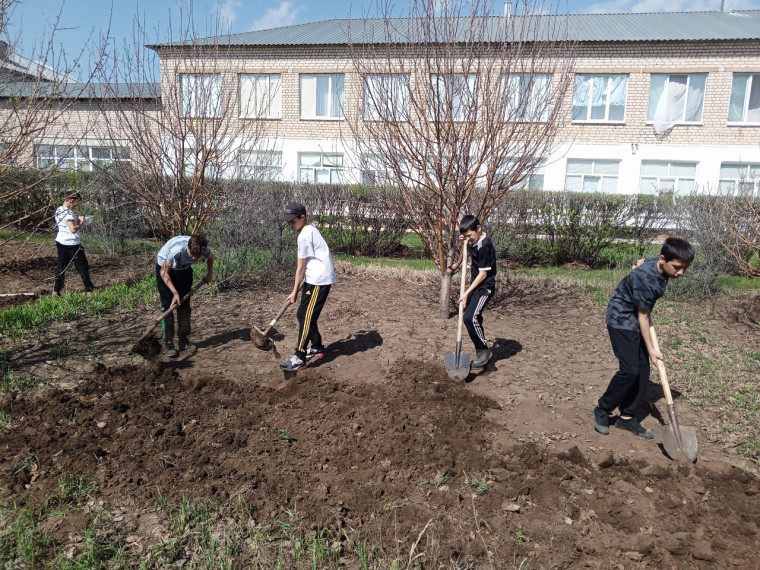 День Земли.